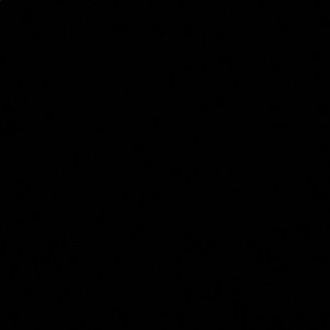 Meet your Posher, Lilly